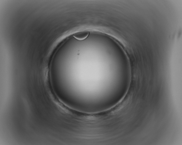 X0000113761507200909301059