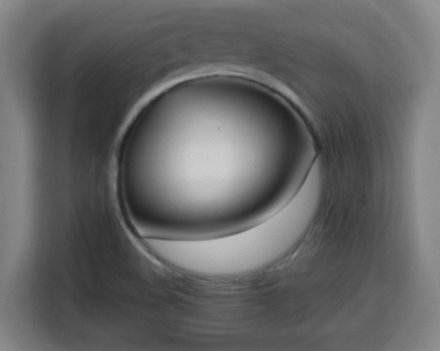 X0000113761508200909301059