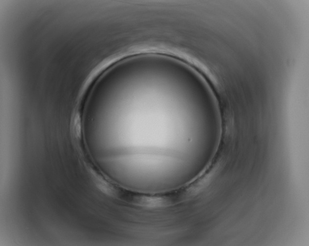 X0000113761509200909301059