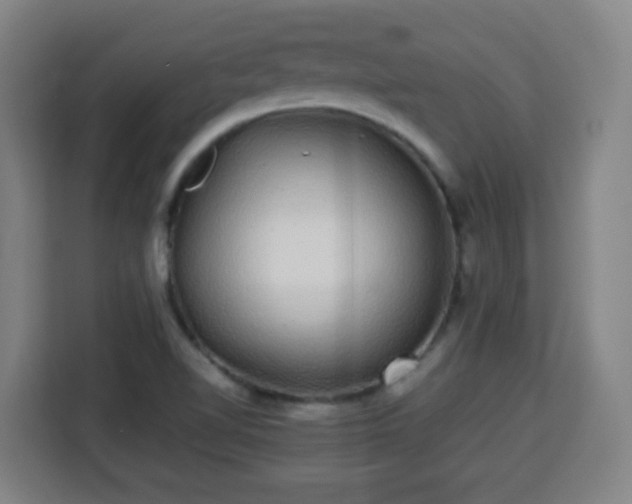X0000113761510200909301059