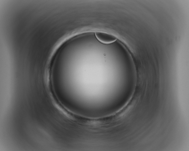 X0000113761511200909301059
