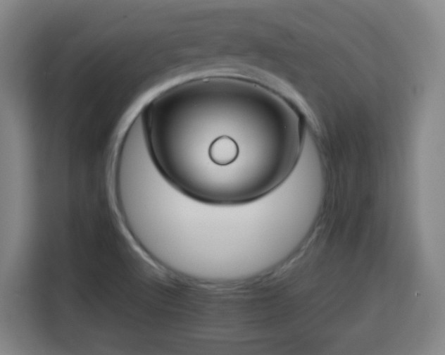X0000113761512200909301059
