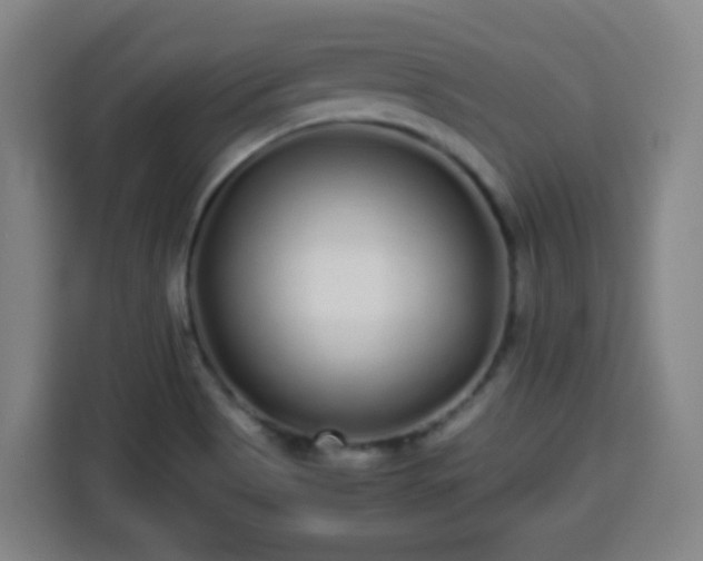 X0000113761513200909301059