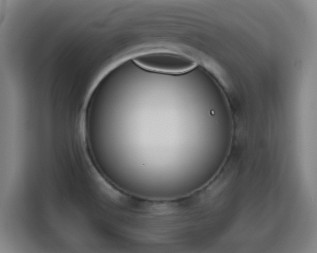 X0000113761516200909301059
