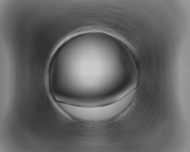 X0000113761518200909301059