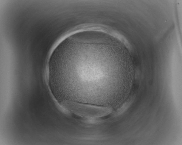 X0000113761520200909301059