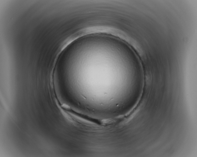 X0000113761521200909301059
