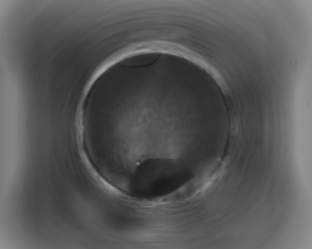 X0000113761522200909301059