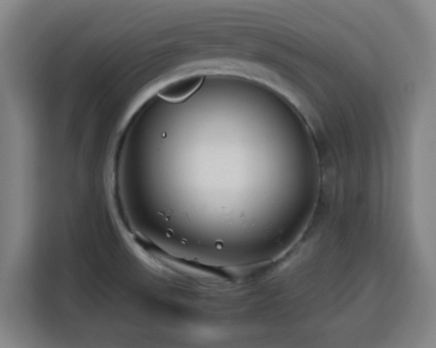 X0000113761523200909301059