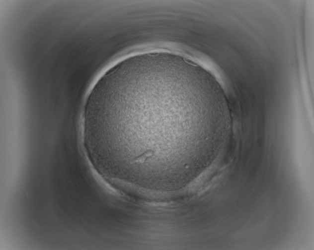 X0000113761524200909301059