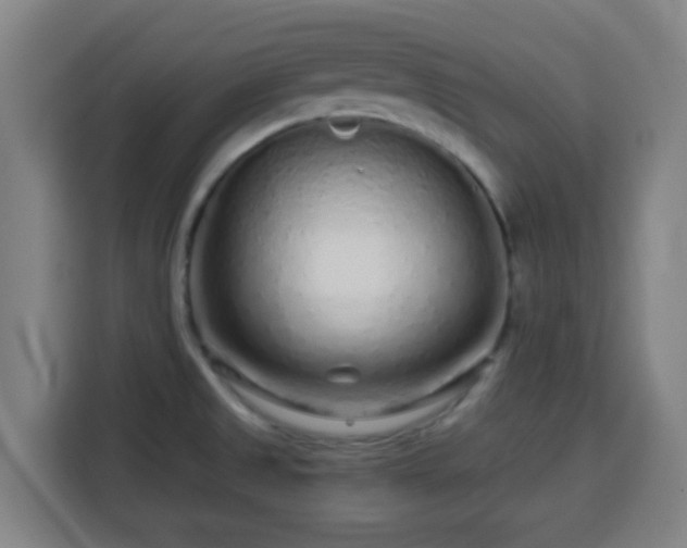 X0000113761525200909301059