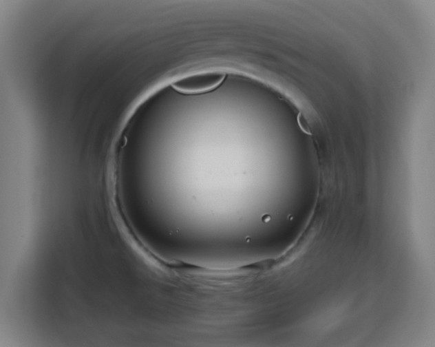 X0000113761526200909301059