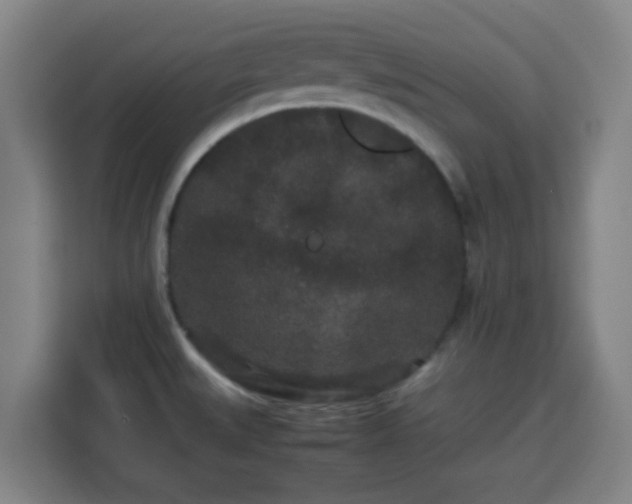 X0000113761527200909301059