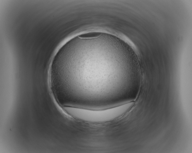X0000113761528200909301059