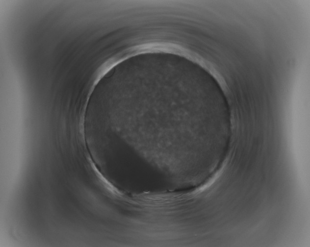 X0000113761529200909301059