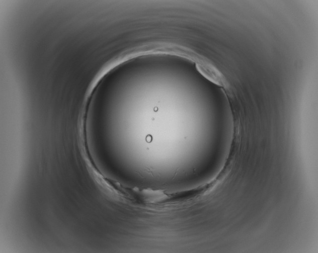 X0000113761530200909301059