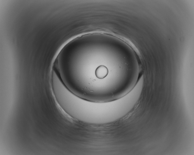 X0000113761532200909301059