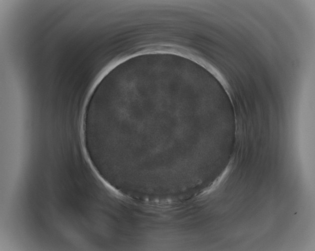 X0000113761533200909301059
