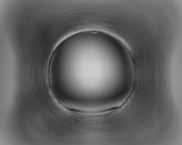 X0000113761534200909301059