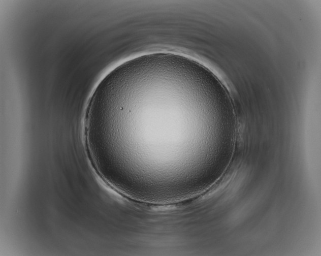 X0000113761535200909301059