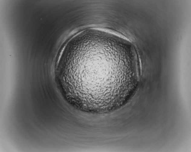 X0000113760002200910071141