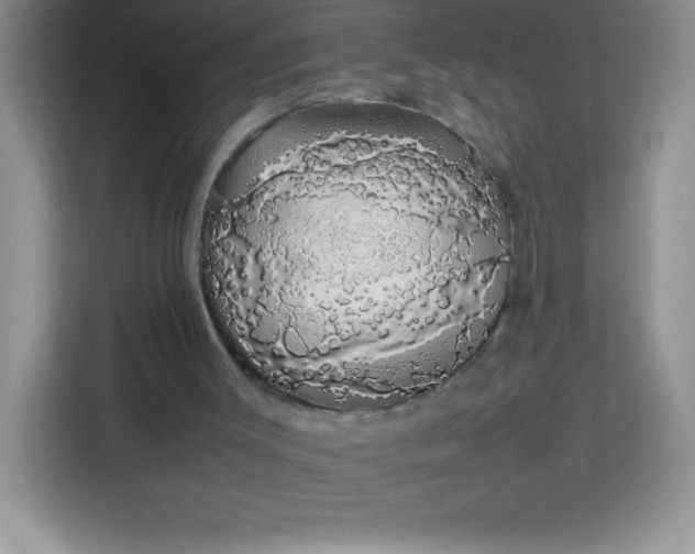 X0000113760003200910071141