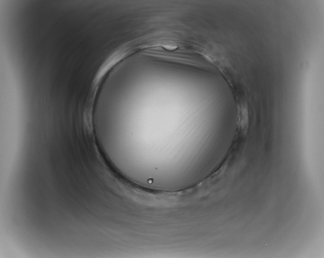 X0000113760004200910071141