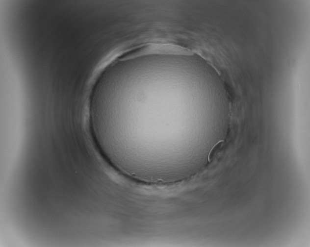 X0000113760005200910071141