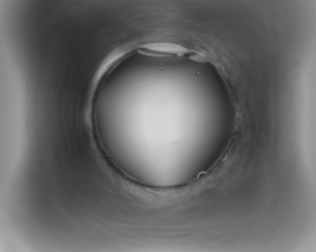X0000113760006200910071141