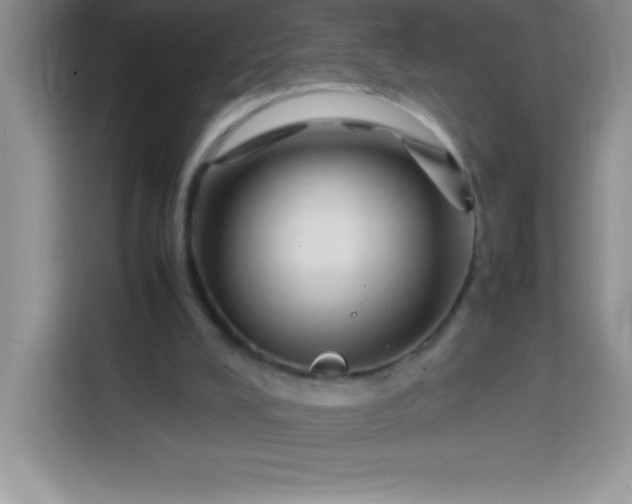 X0000113760008200910071141
