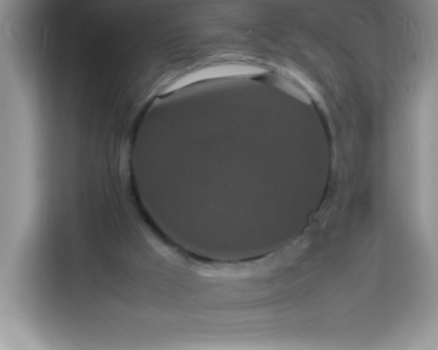 X0000113760009200910071141