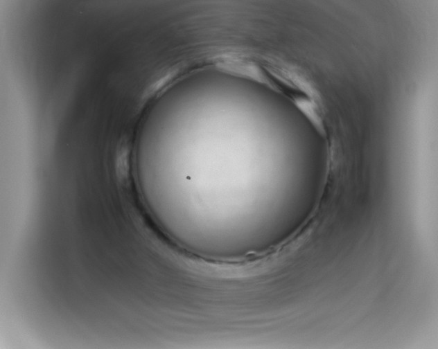 X0000113760010200910071141