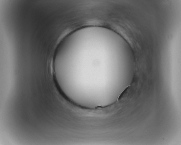 X0000113760011200910071141