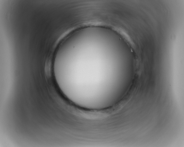 X0000113760012200910071141
