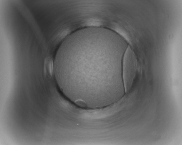 X0000113760013200910071141