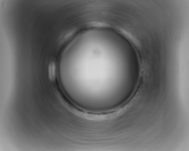 X0000113760014200910071141