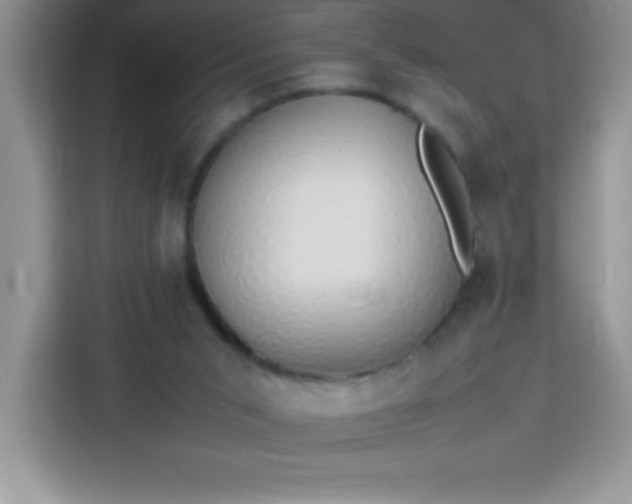 X0000113760015200910071141