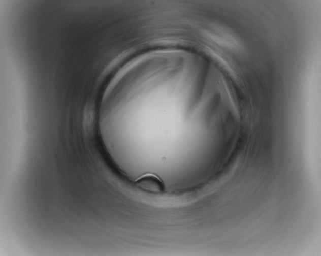 X0000113760016200910071141