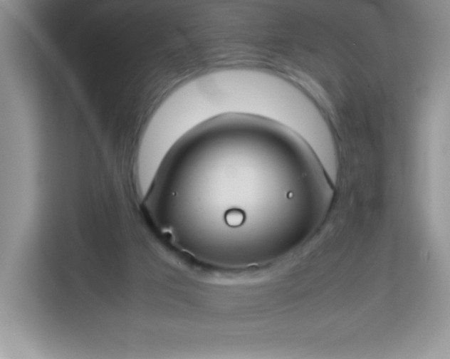 X0000113760017200910071141