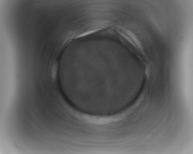 X0000113760018200910071141