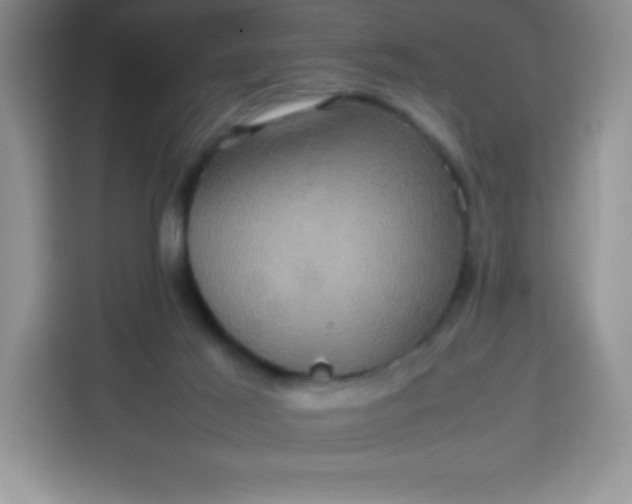X0000113760021200910071141