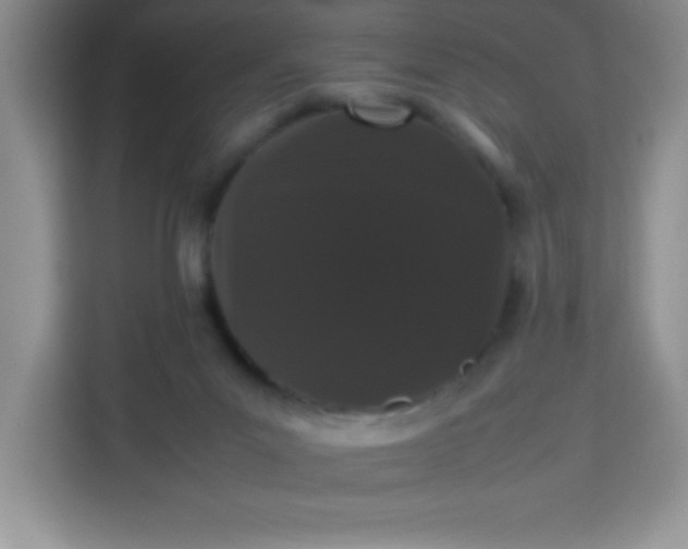 X0000113760023200910071141
