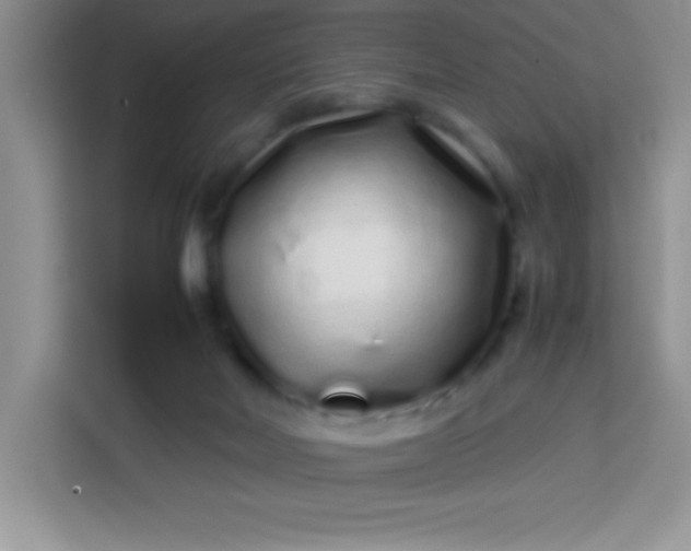 X0000113760026200910071141