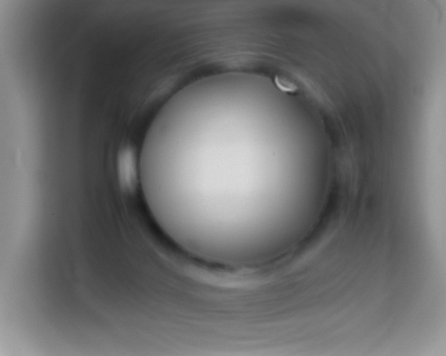 X0000113760028200910071140