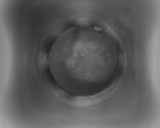 X0000113760029200910071140
