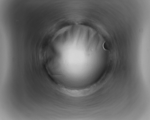 X0000113760030200910071140