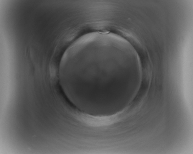 X0000113760031200910071140