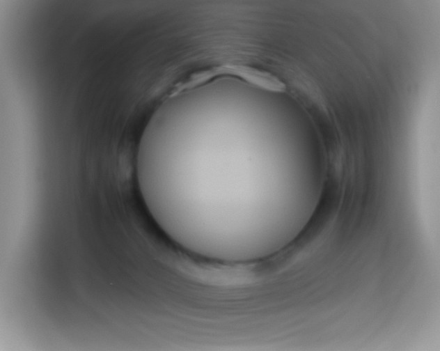 X0000113760032200910071140