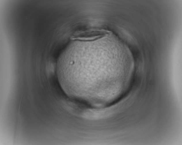 X0000113760033200910071140