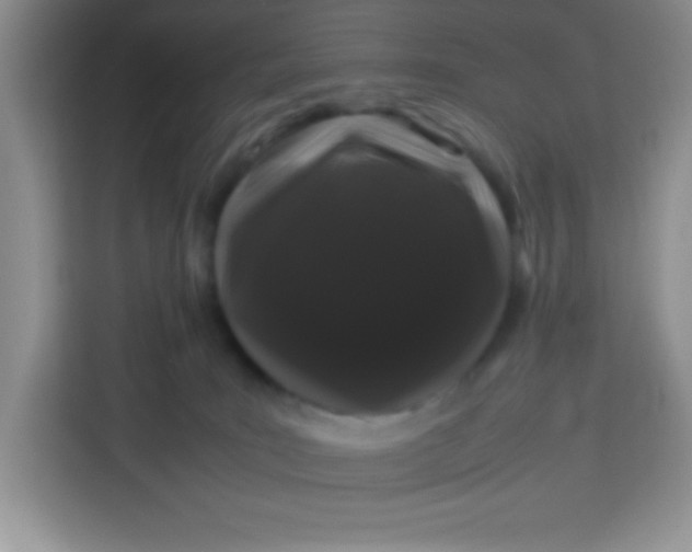 X0000113760035200910071140